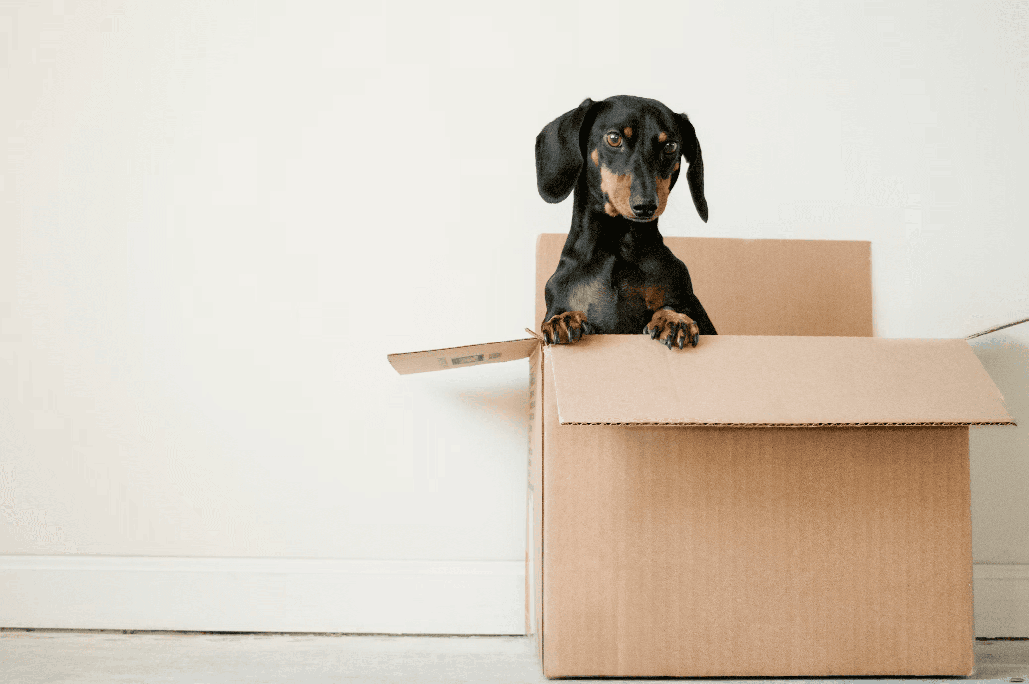 Affordable Moving Solutions
