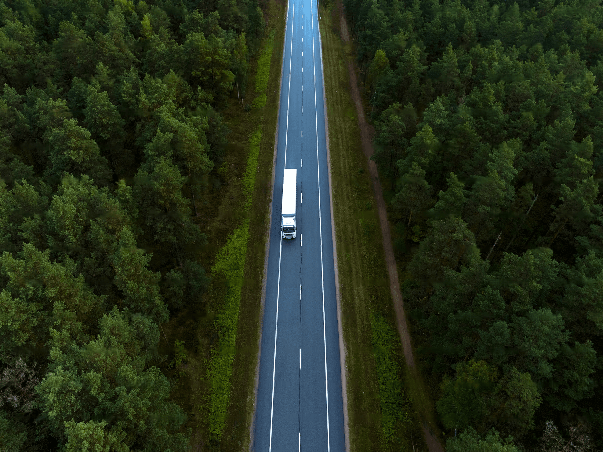 Local and Long-Distance Moving
